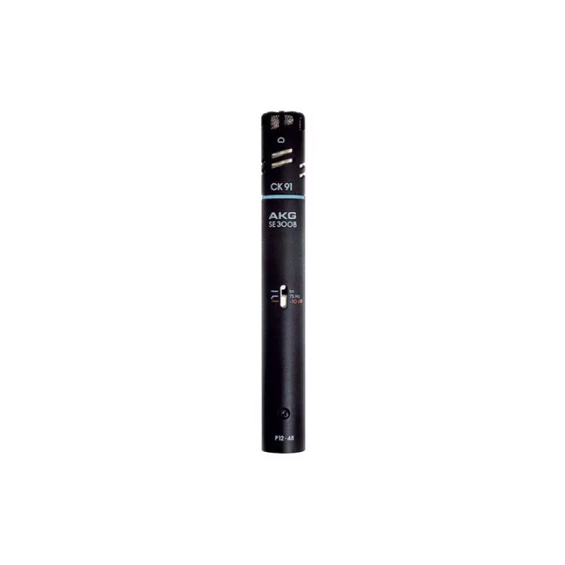 AKG C391 B High Performance Condenser Microphone