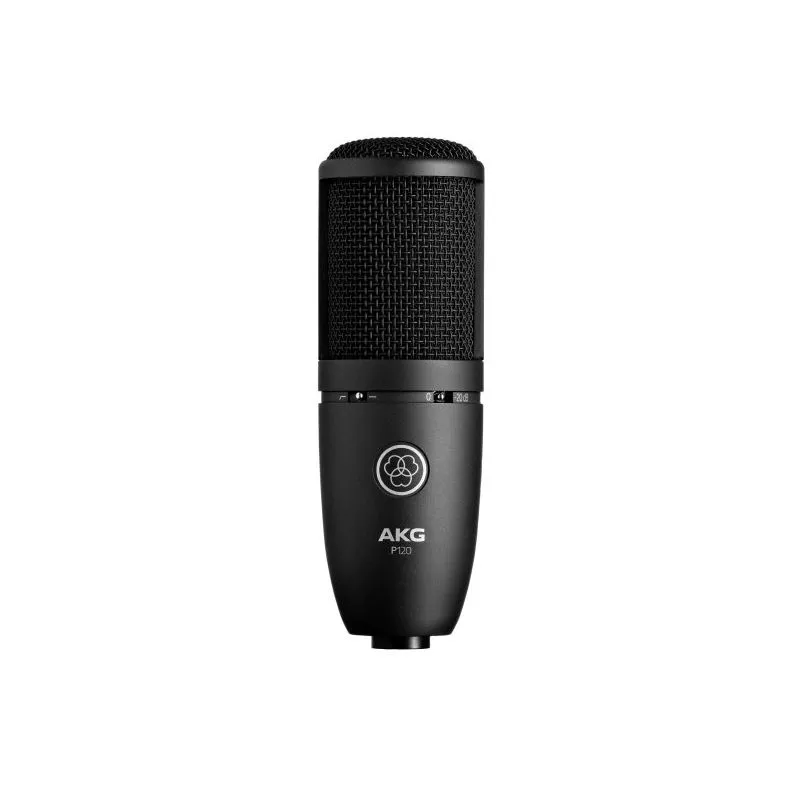 AKG P120 High-Performance General Purpose Recording Microphone