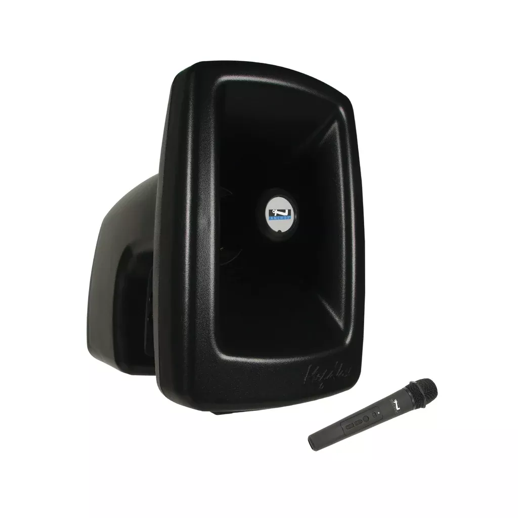 Anchor Audio MegaVox 2 COMP4, Megavox 2 Pair, AnchorLINK, and two wireless handheld microphones, two wireless belt pack transmitters with collar microphones, and two speaker stands, and one companion speaker cable