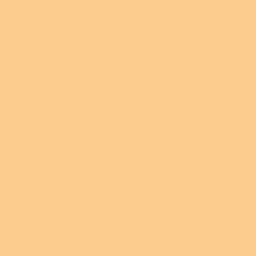 Roscolux #02 Filter - Bastard Amber - 20x24" Sheet